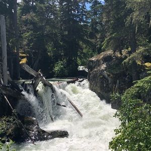 Meet your Posher, Wendy